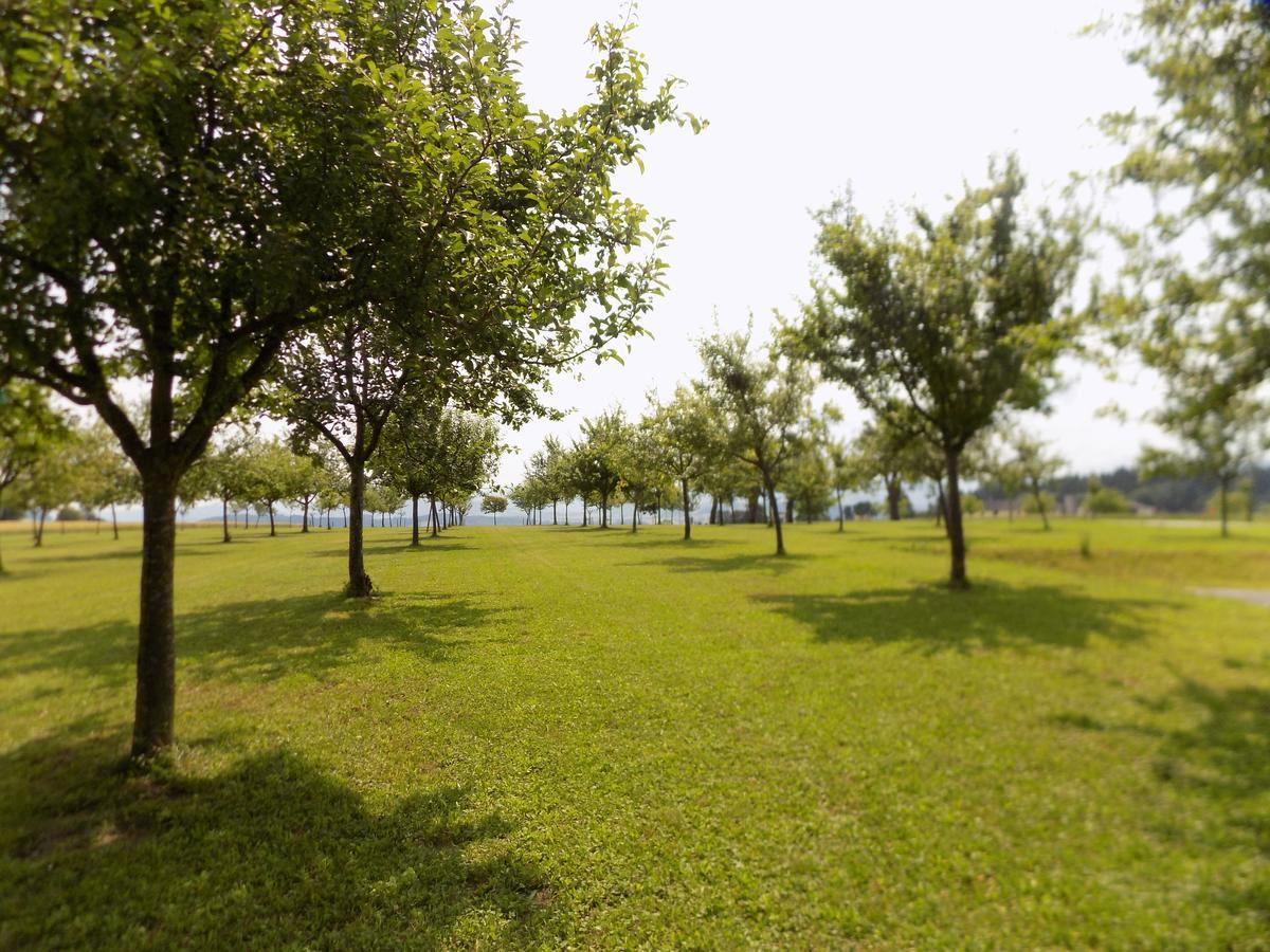Mostlandhof Purgstall an der Erlauf Esterno foto